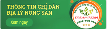 ThongTinChiDan