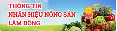 ThongTinTruyXuat